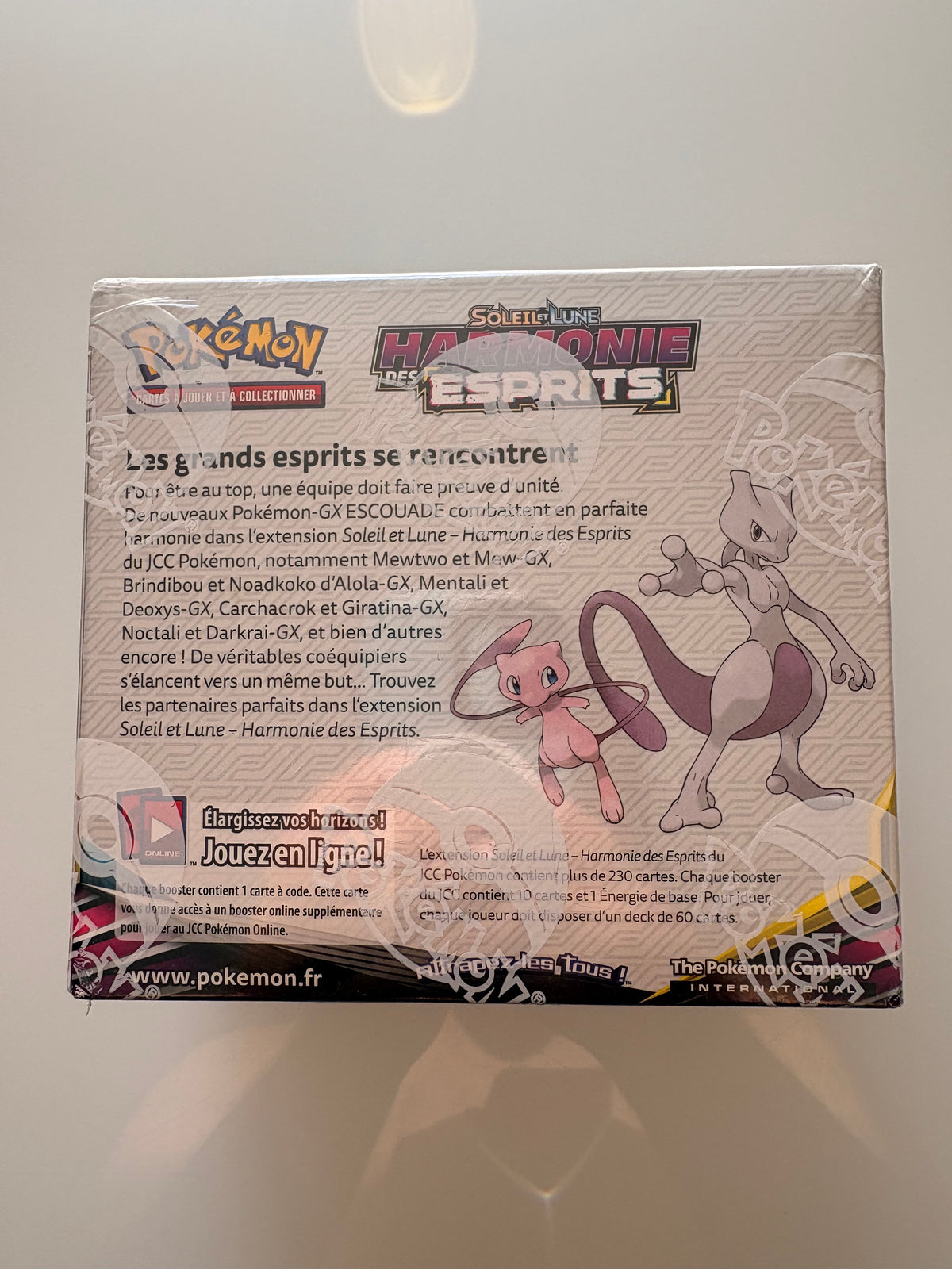 Pokémon Sonne & Mond: Bund der Gleichgesinnten Display (36 Booster) – Französische Version